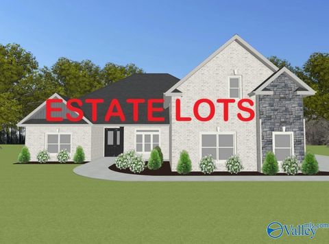 Photo of Durham - B Newby Chapel Road, Athens, AL 35613 (MLS # 21908293)