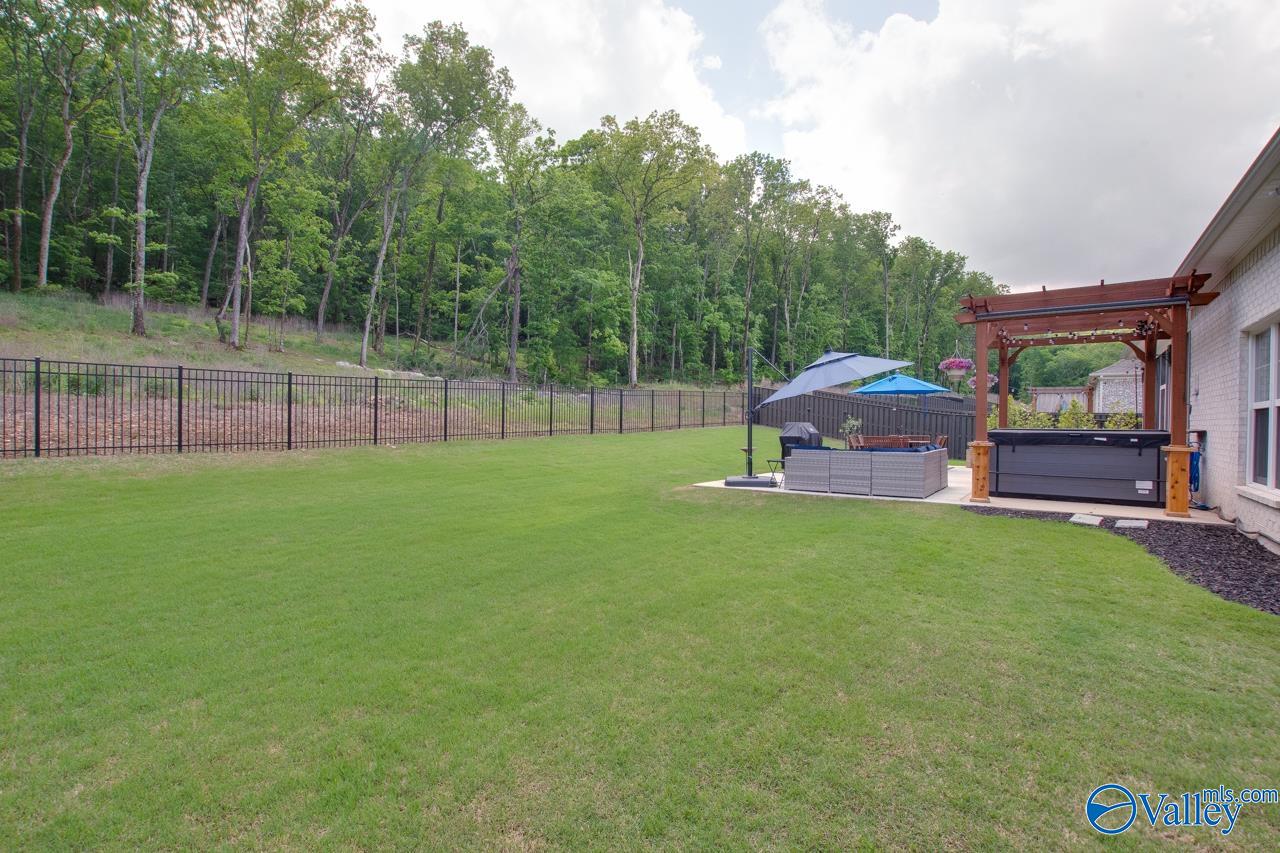 8076 Goose Ridge Drive, Owens Cross Roads, Alabama image 36