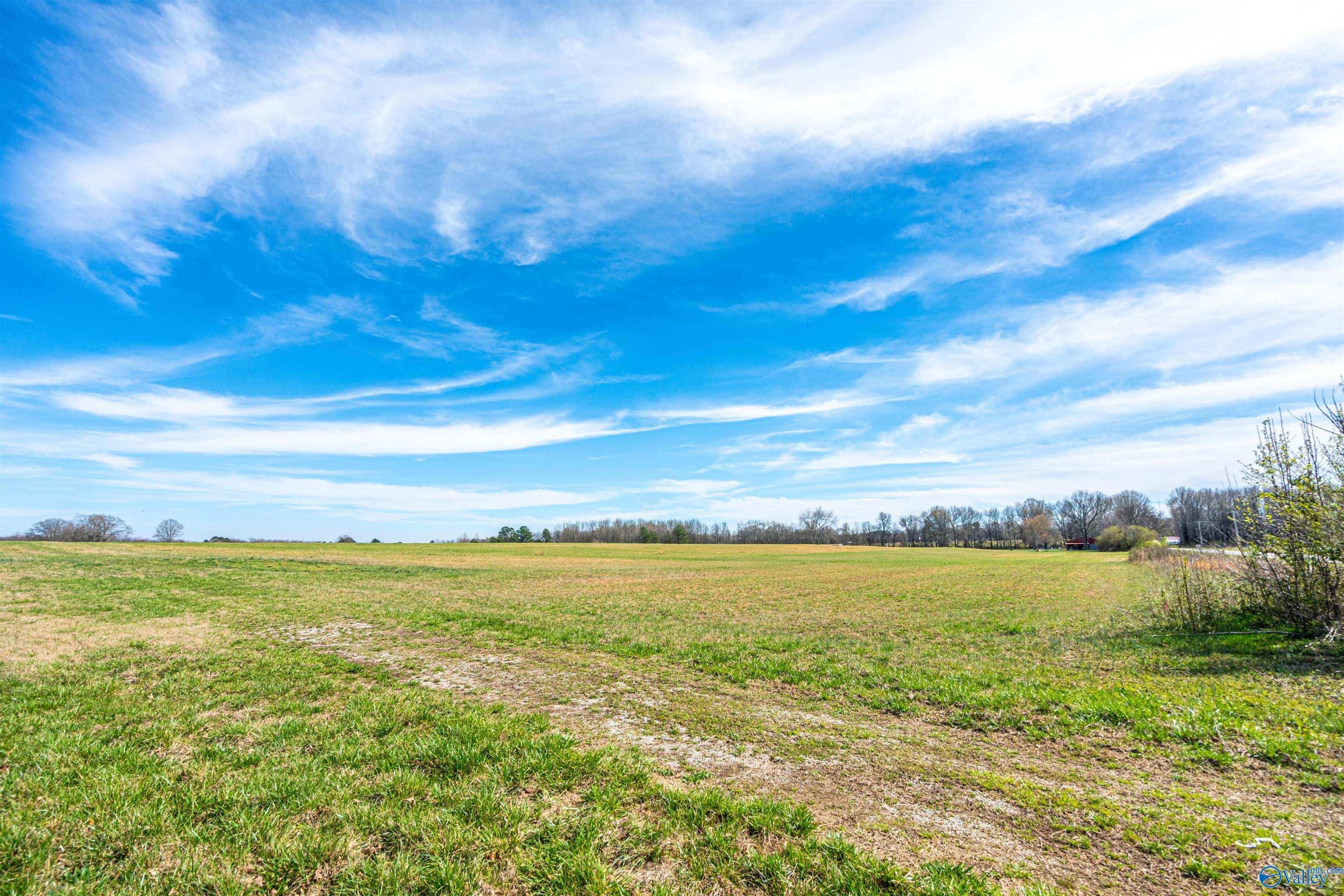 Tract 1 County Road 51, Rogersville, Alabama image 6
