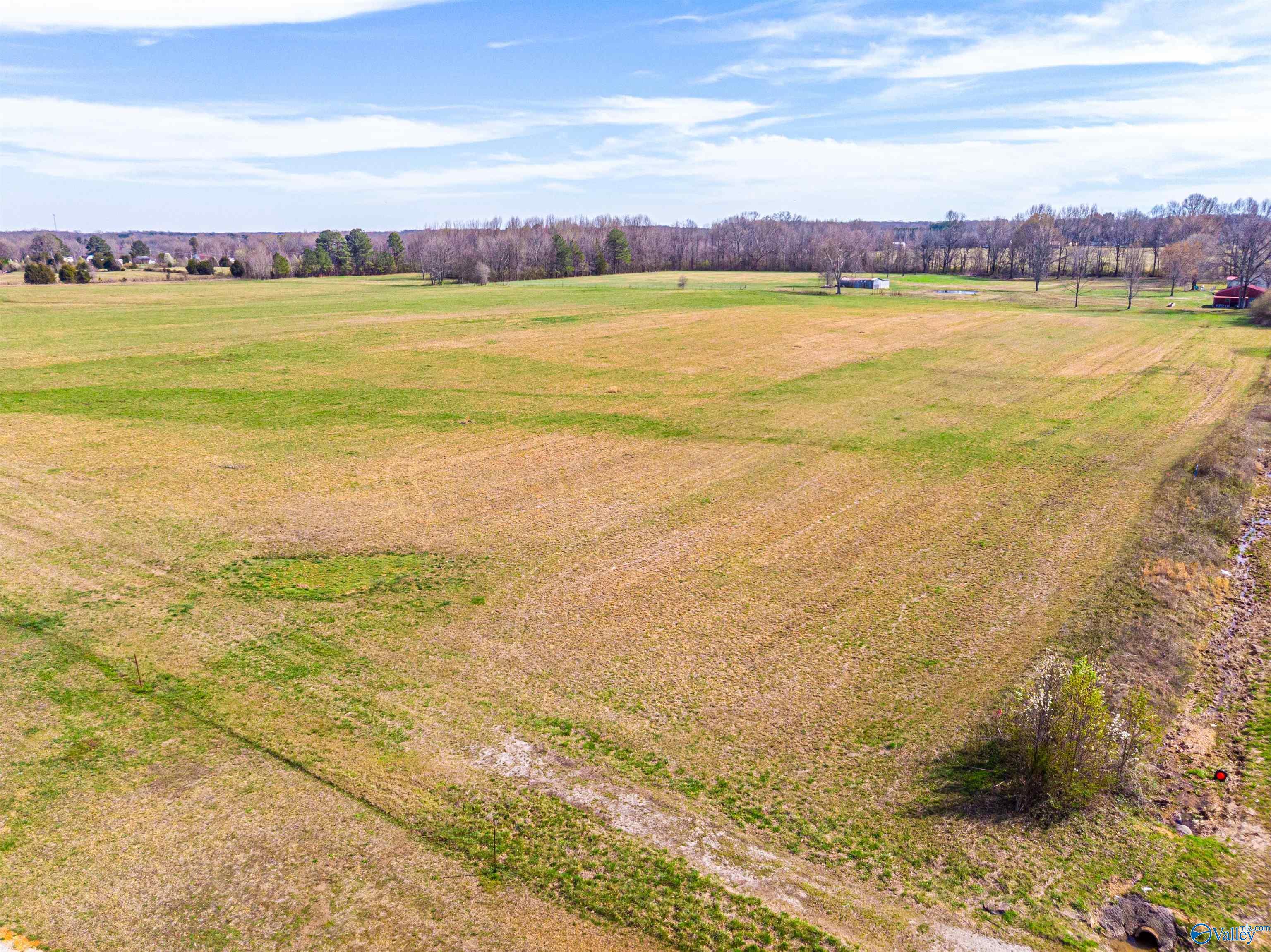 Tract 1 County Road 51, Rogersville, Alabama image 11