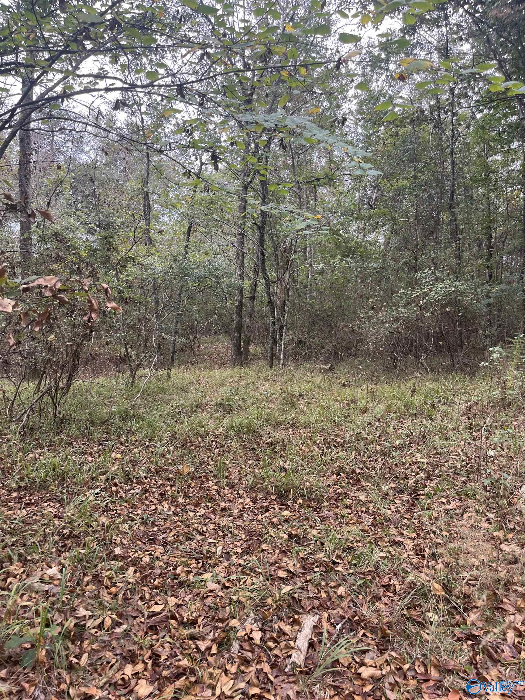 Lot 11 Bear Creek Trail, Fort Payne, Alabama image 10