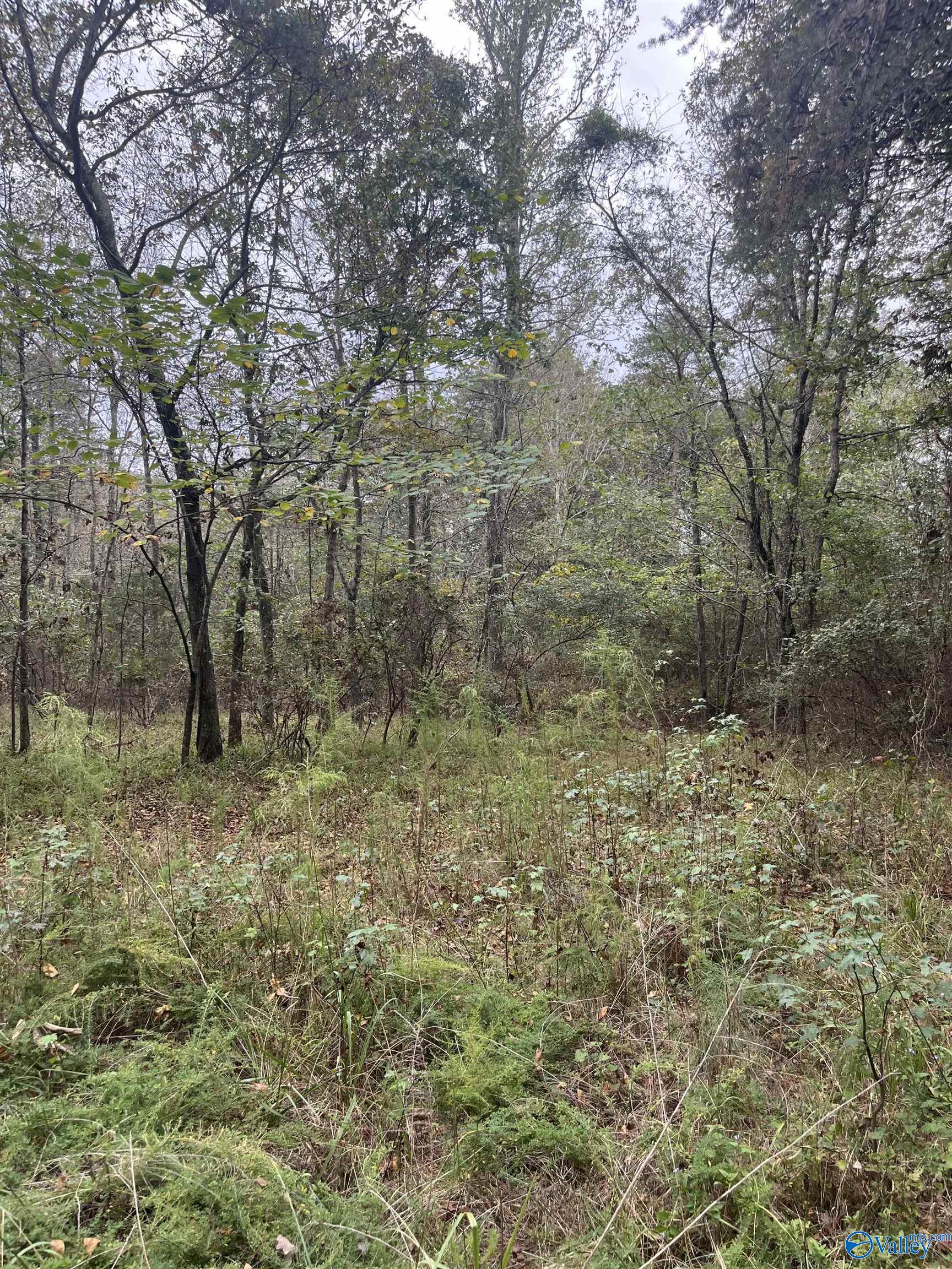 Lot 11 Bear Creek Trail, Fort Payne, Alabama image 11