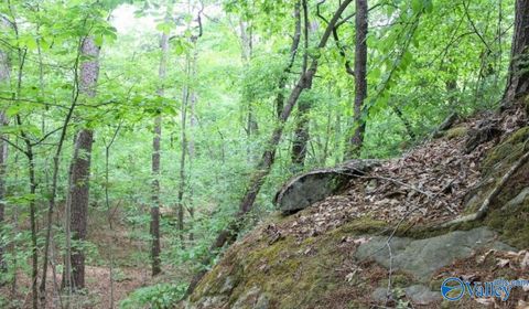 Vacant Land For Sale - LOT 11 Bear Creek Trail<br/> Fort Payne, AL 35957
