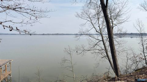 Vacant Land For Sale - 120 County Road 537<br/> Cherokee County, Centre, AL 35960