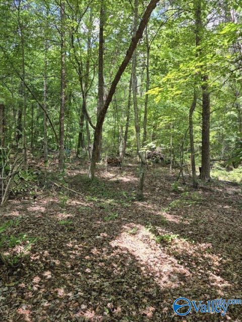 Lot 2 Cherokee County Road 275 Fort Payne AL 35967