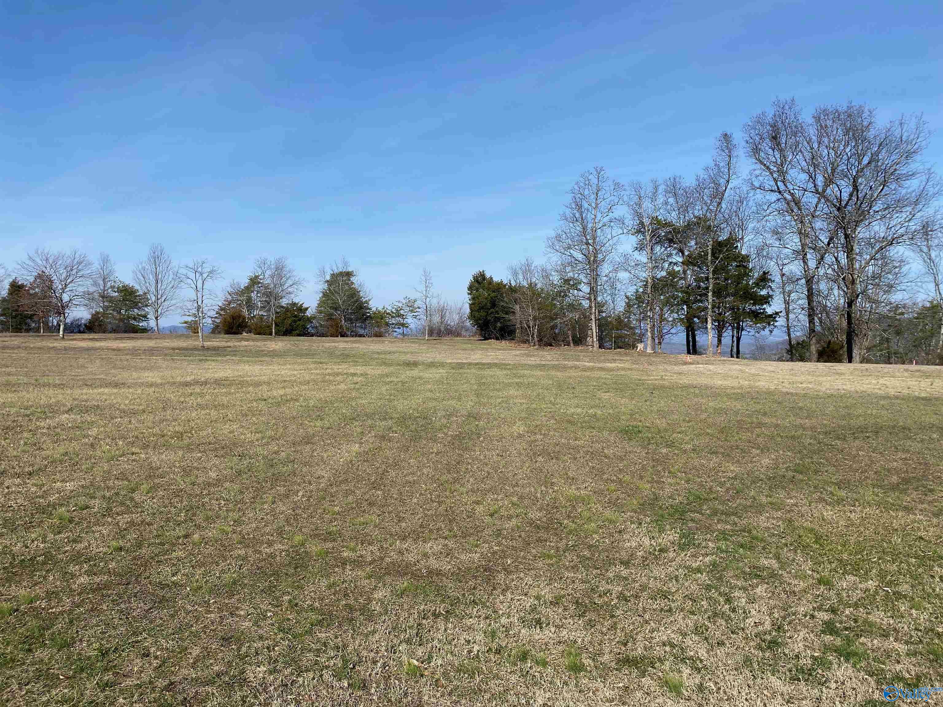 Lot 87 Woolum Street, Pisgah, Alabama image 3