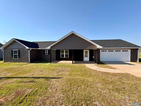 Homes For Sale - 436 County Road 1021<br/> Cherokee County, Piedmont, AL 36272