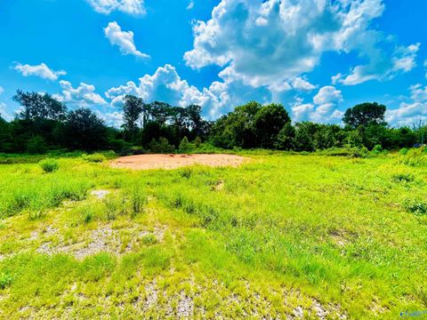 Vacant Land For Sale - 100 Spring Valley Drive<br/> Danville, AL 35619
