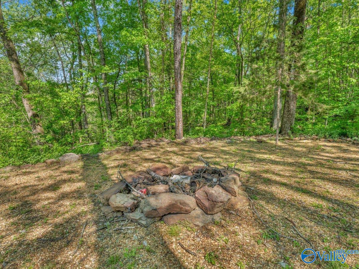 1241 Mountainview Road, Hartselle, Alabama image 27