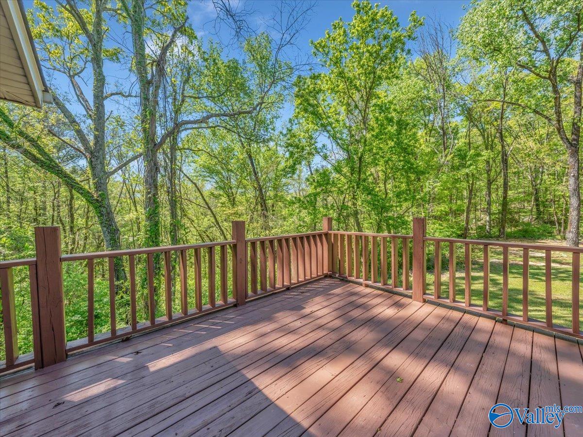 1241 Mountainview Road, Hartselle, Alabama image 32