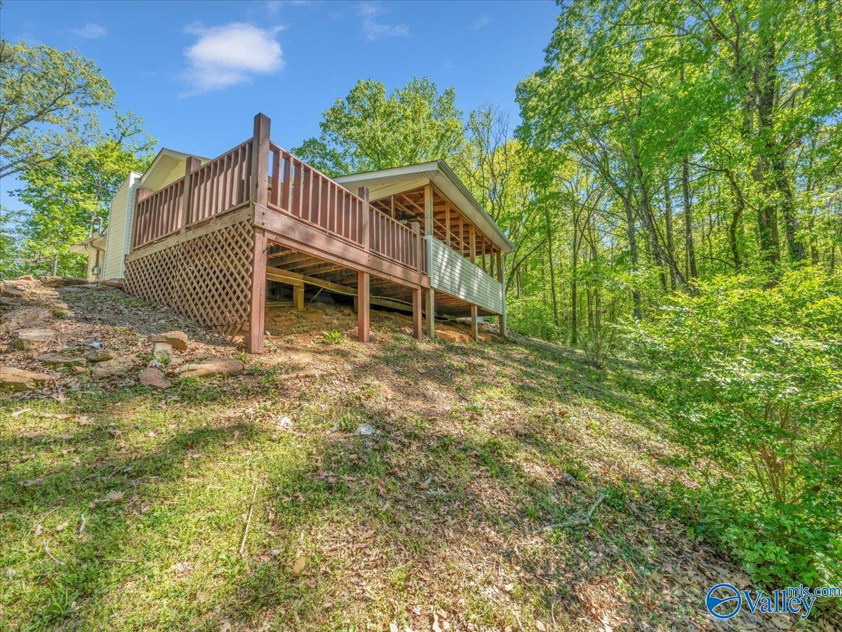 1241 Mountainview Road, Hartselle, Alabama image 37