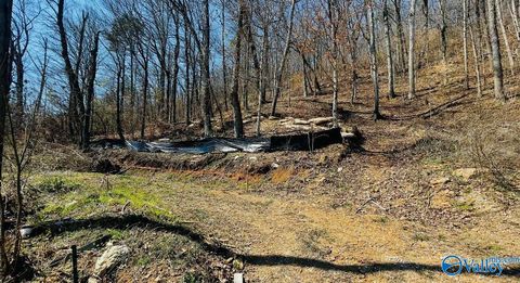 Vacant Land For Sale - 5928 Lister Ferry Road<br/> Etowah County, Rainbow City, AL 35906
