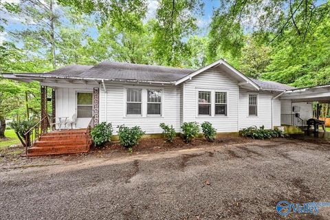 Photo of 1017 Broadway Avenue SW, Cullman, AL 35055 (MLS # 21919164)