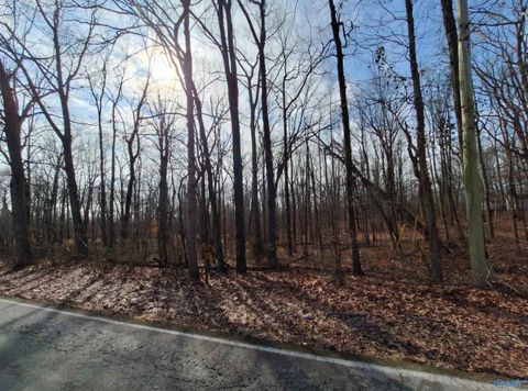 Vacant Land For Sale - 1 ACRE Keel Mountain Road<br/> Gurley, AL 35748