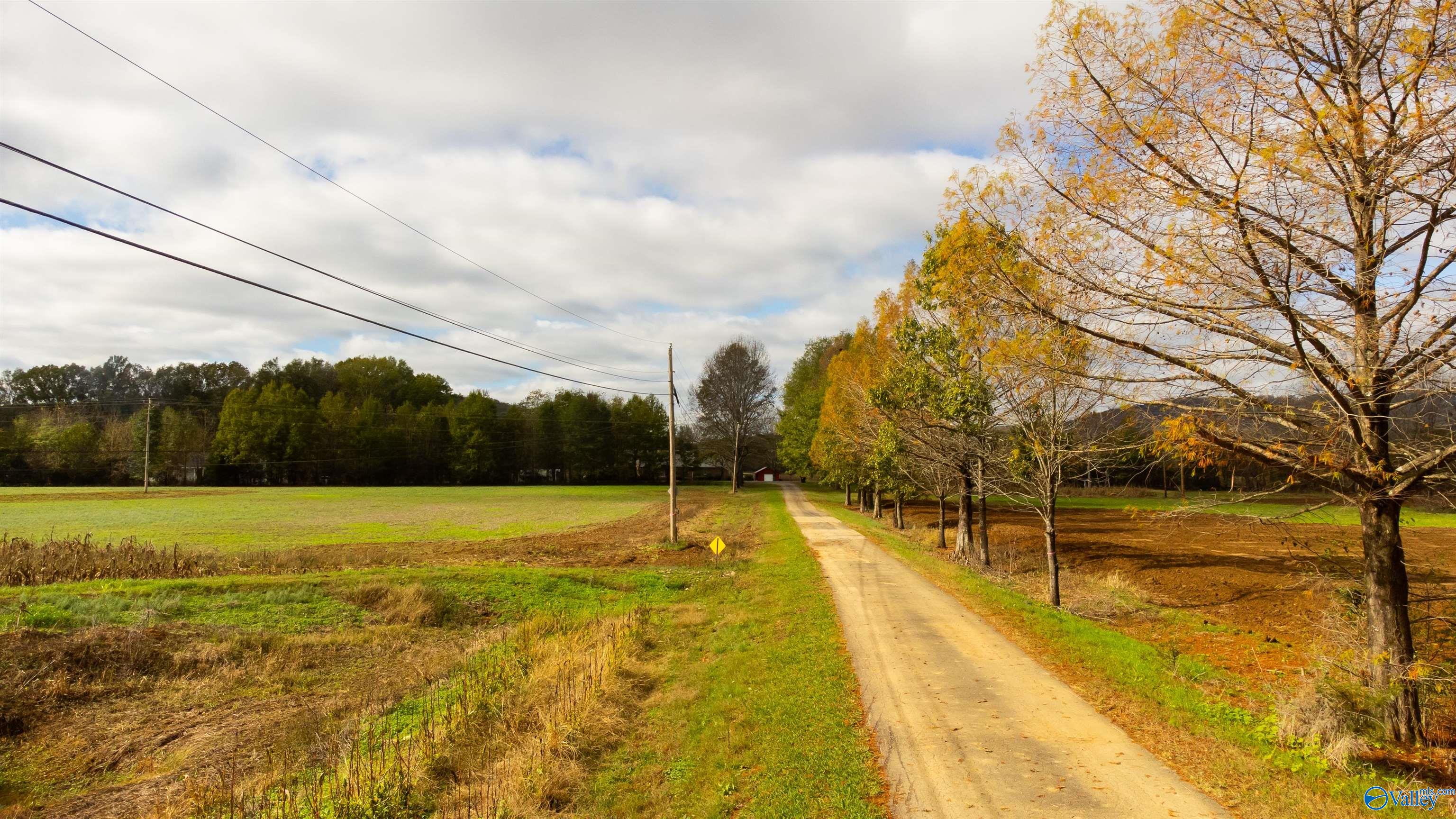 1346 County Road 11, Scottsboro, Alabama image 8