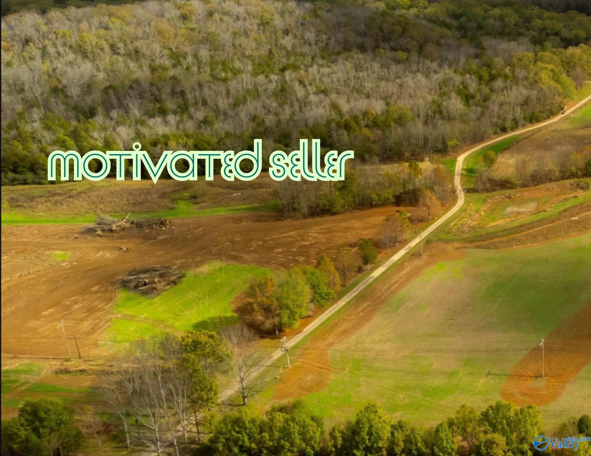 1346 County Road 11, Scottsboro, Alabama image 1