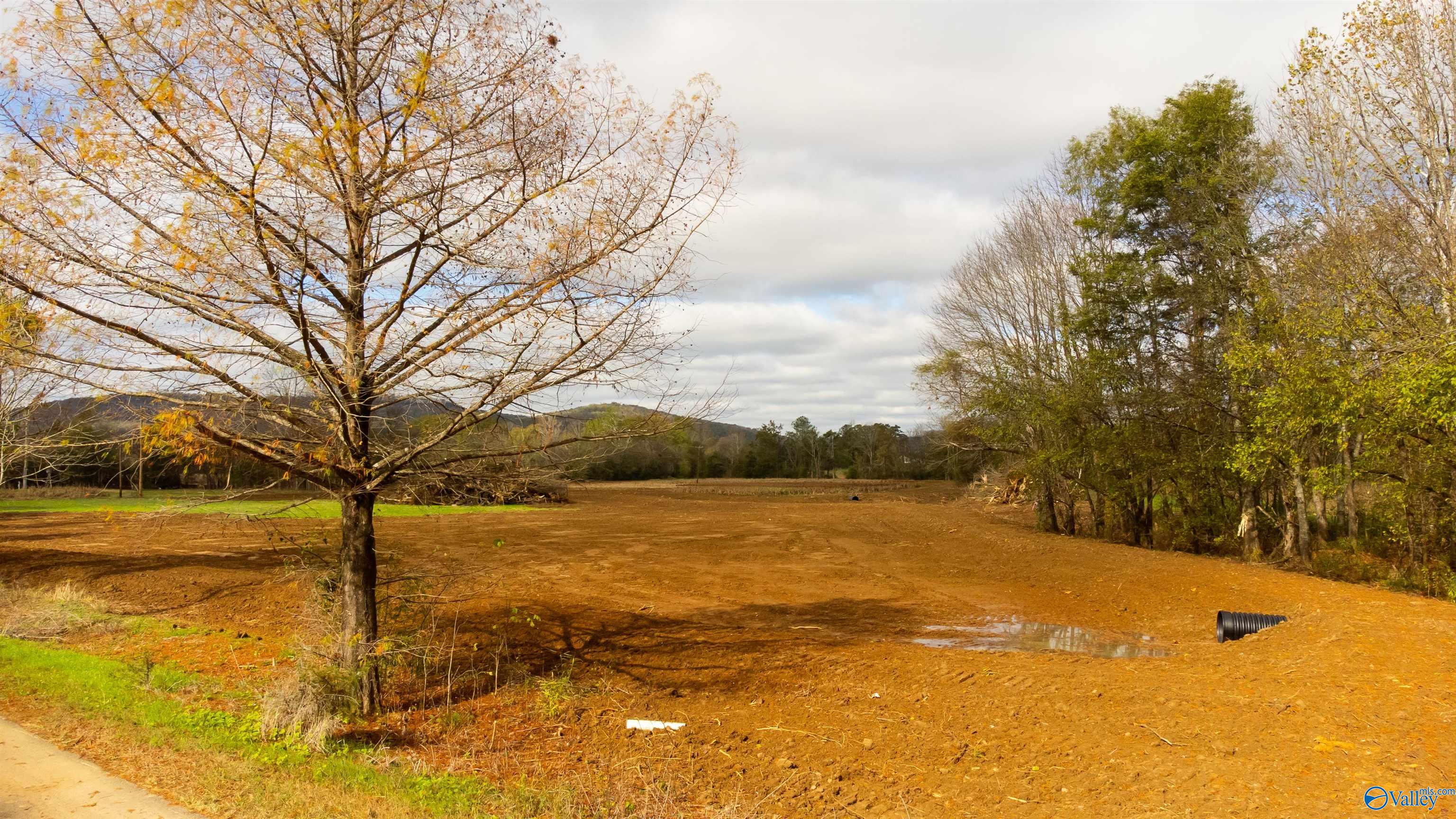 1346 County Road 11, Scottsboro, Alabama image 9