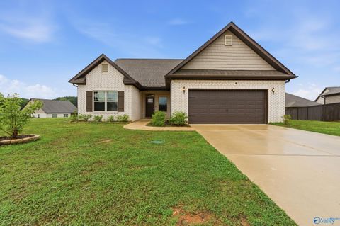 Homes For Sale - 111 Pomelo Street<br/> Huntsville, AL 35811