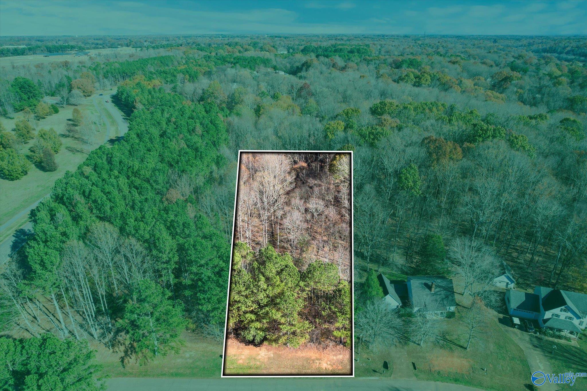 Lot 1 Poplar Drive, Elkmont, Alabama image 1