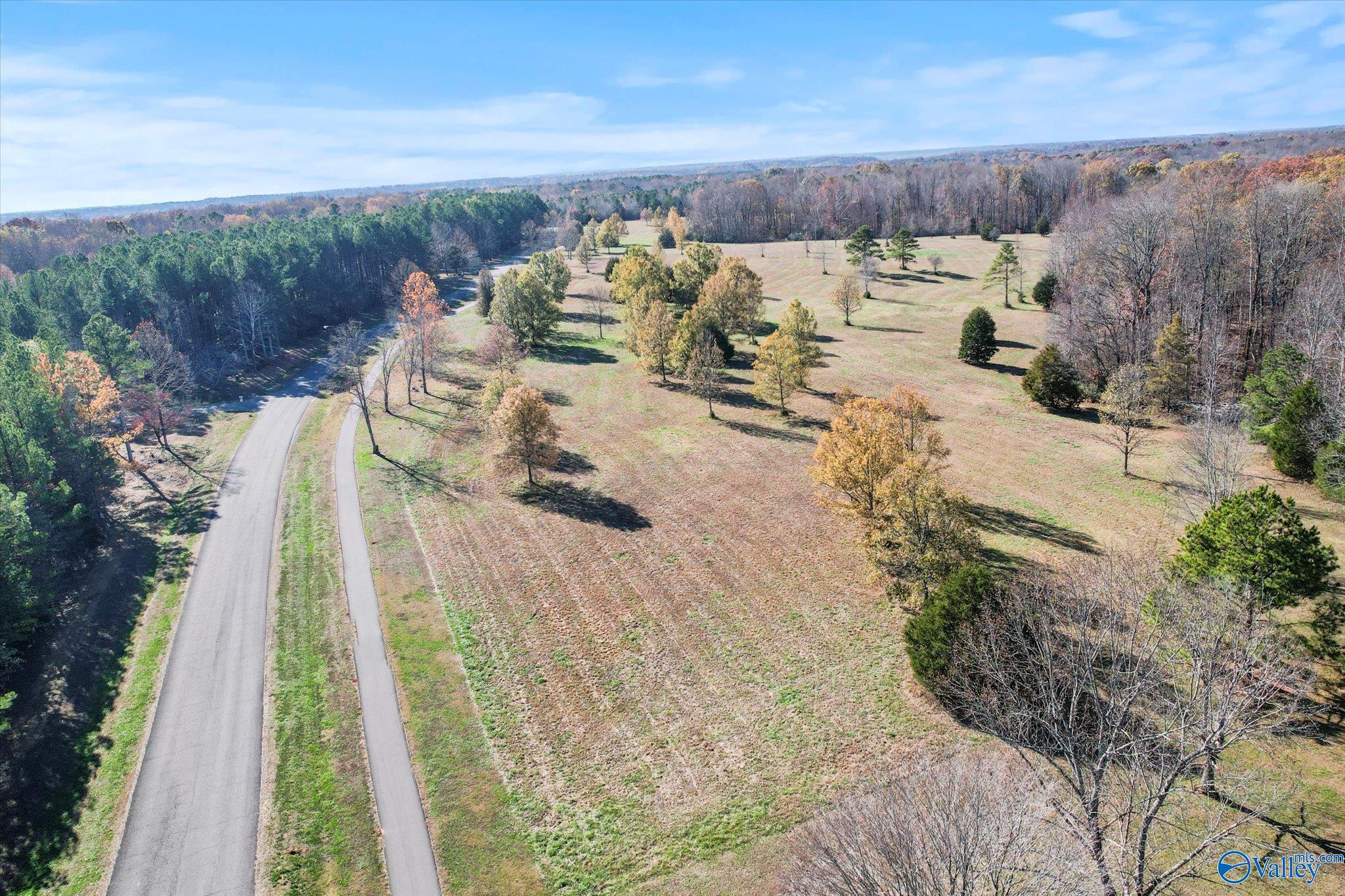 Lot 1 Poplar Drive, Elkmont, Alabama image 16