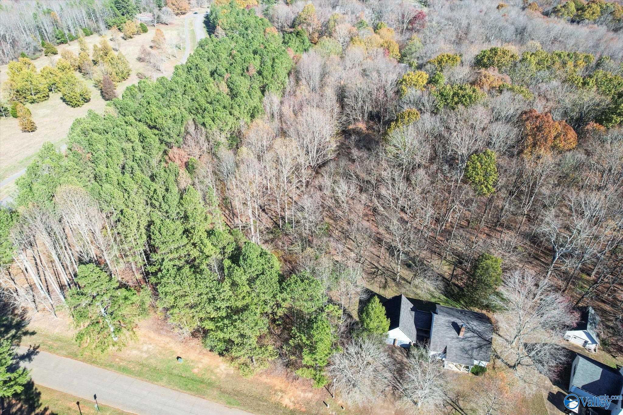 Lot 1 Poplar Drive, Elkmont, Alabama image 6