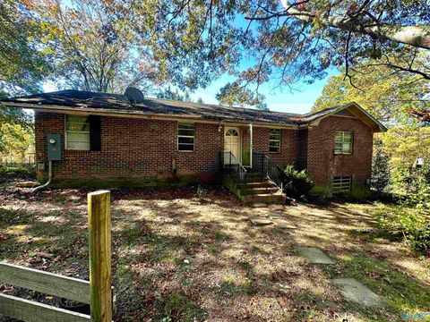 Photo of 3301 County Road 106, Mentone, AL 35984 (MLS # 21902193)