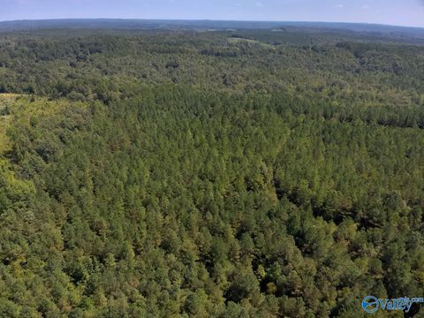 221 Blue Bird Road Sulligent AL 35586