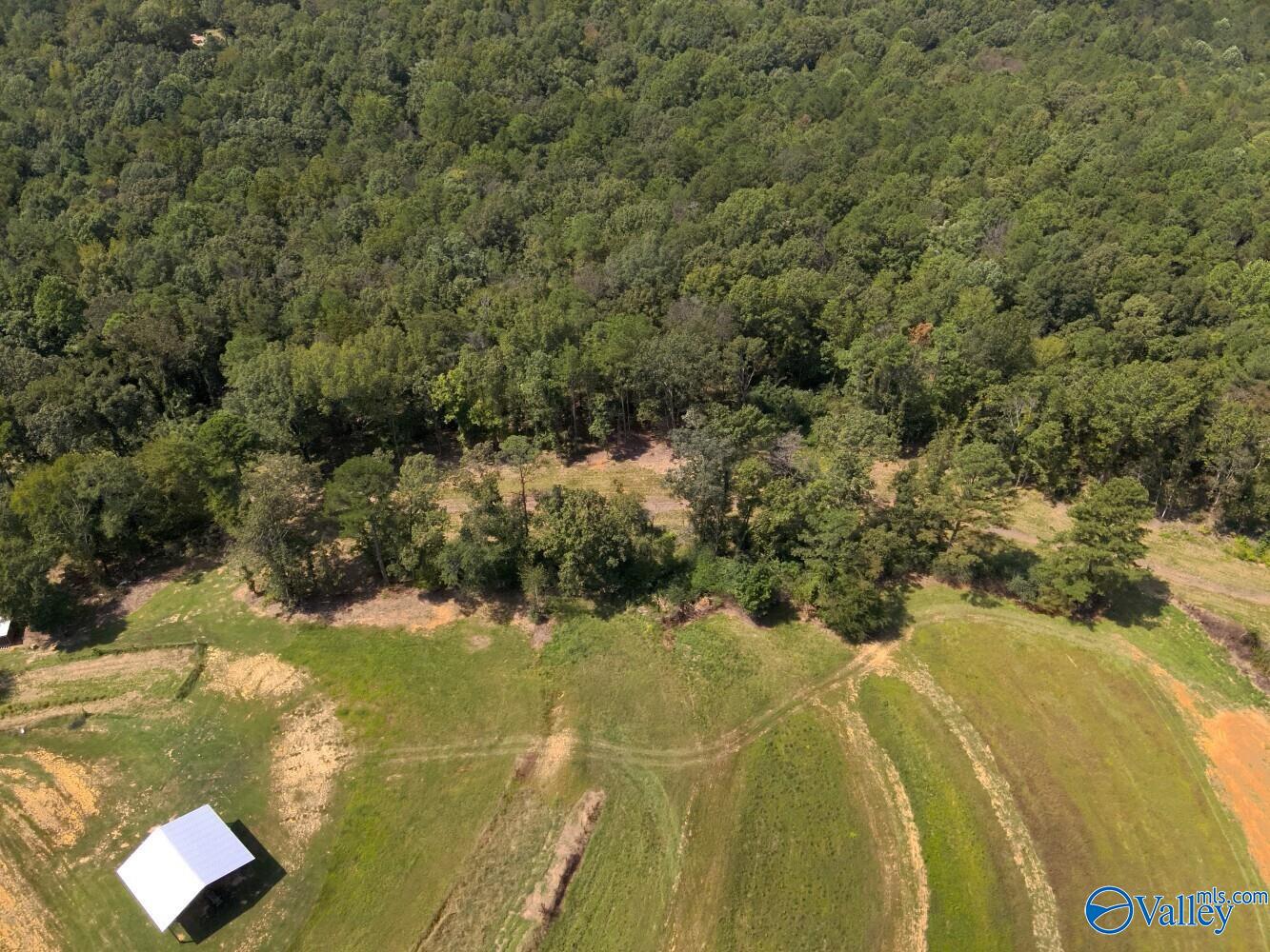 221 Blue Bird Road