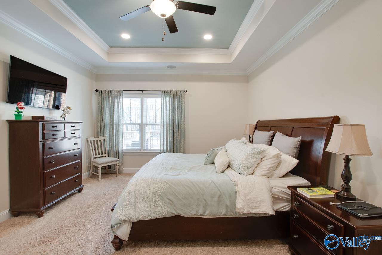 229 Goose Pond Island Drive, Scottsboro, Alabama image 24