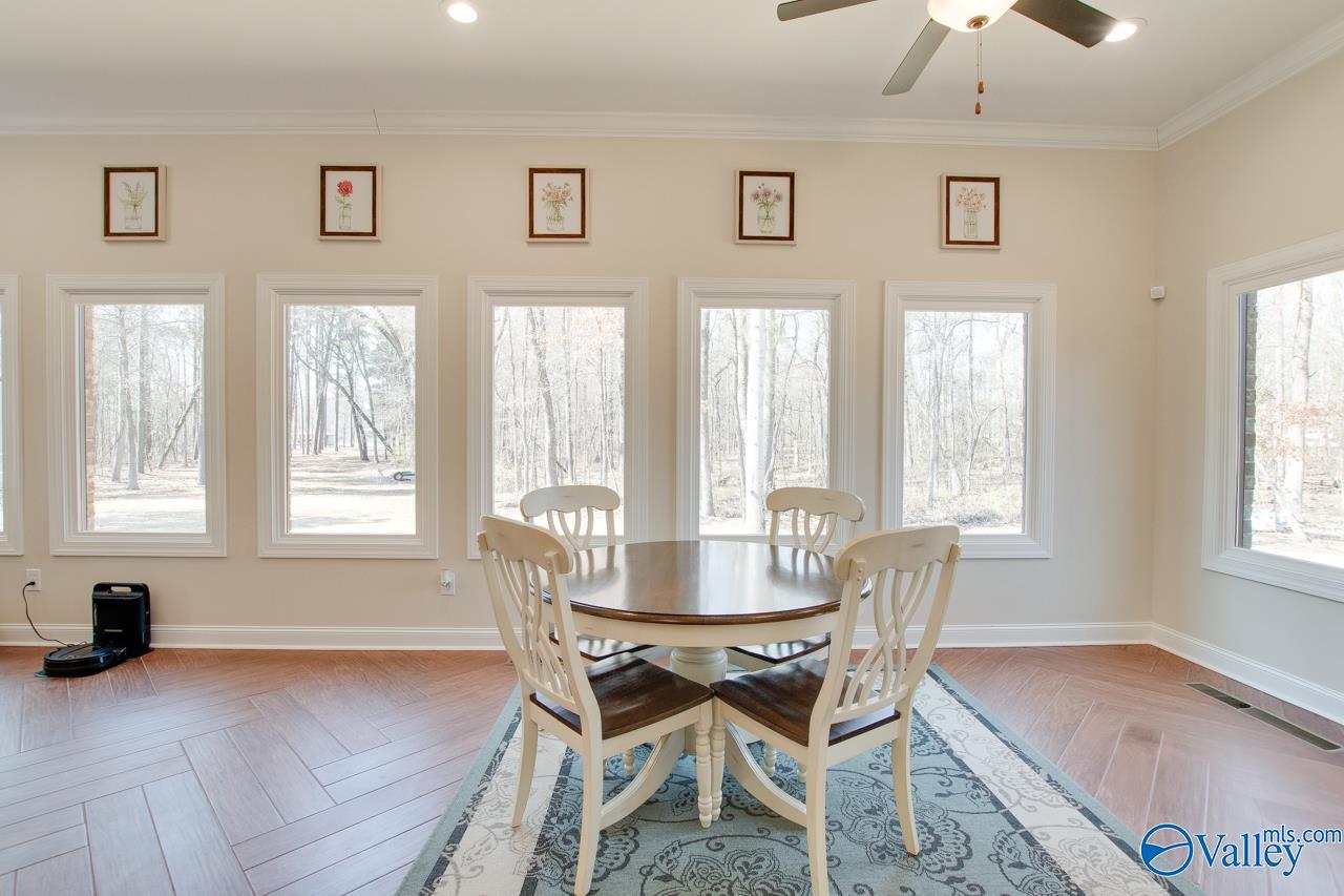 229 Goose Pond Island Drive, Scottsboro, Alabama image 18