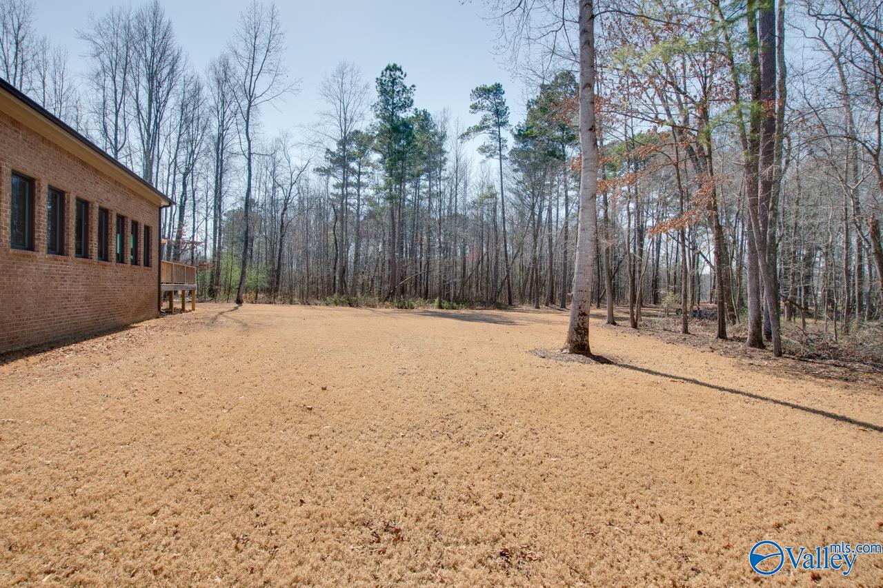 229 Goose Pond Island Drive, Scottsboro, Alabama image 39