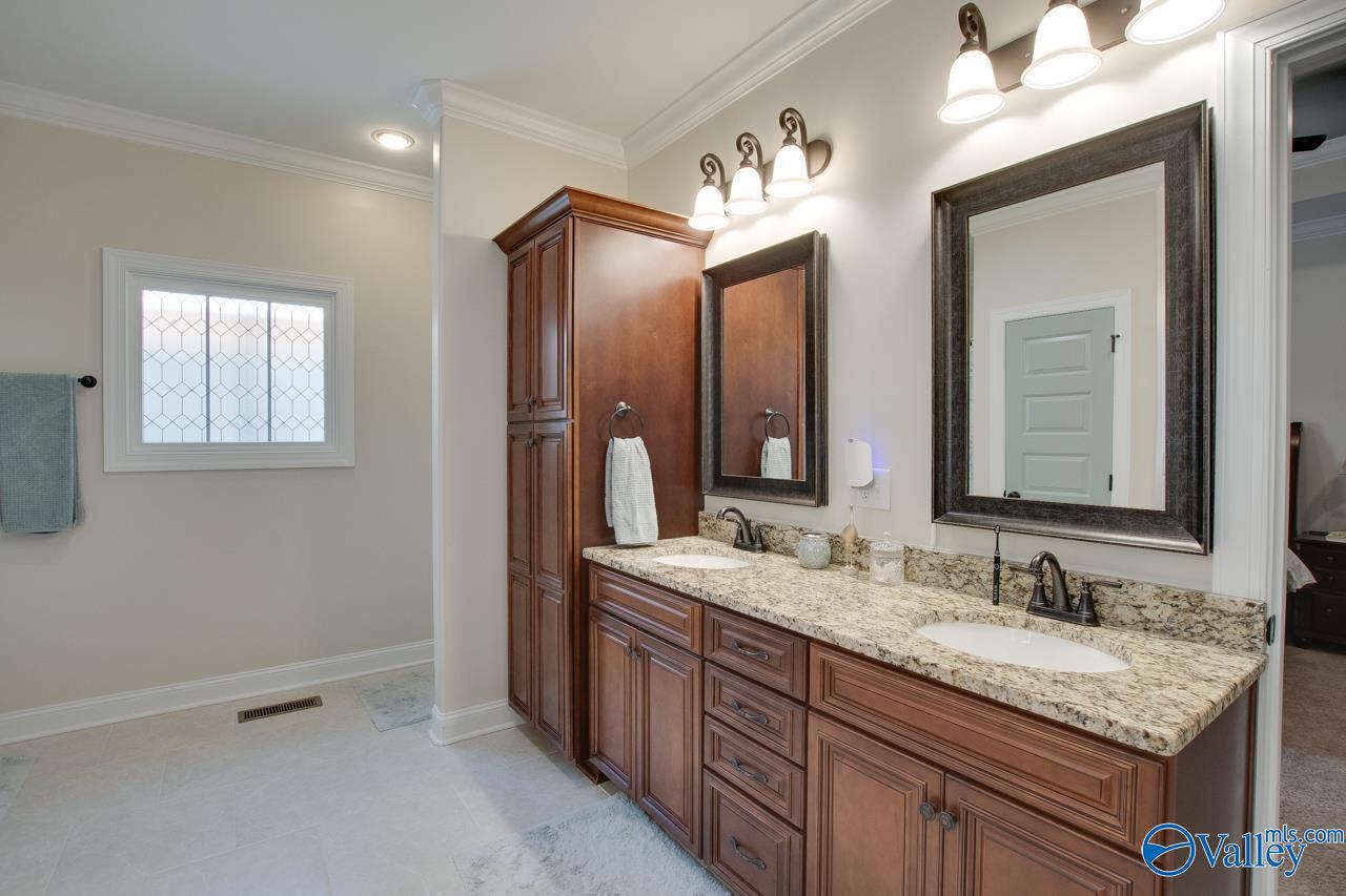 229 Goose Pond Island Drive, Scottsboro, Alabama image 25