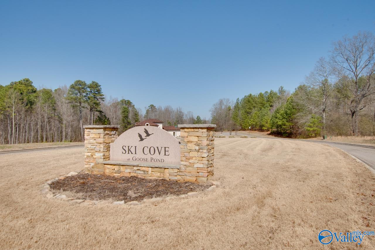 229 Goose Pond Island Drive, Scottsboro, Alabama image 50