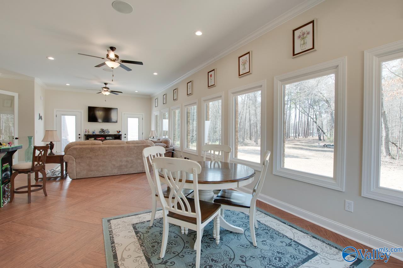 229 Goose Pond Island Drive, Scottsboro, Alabama image 17