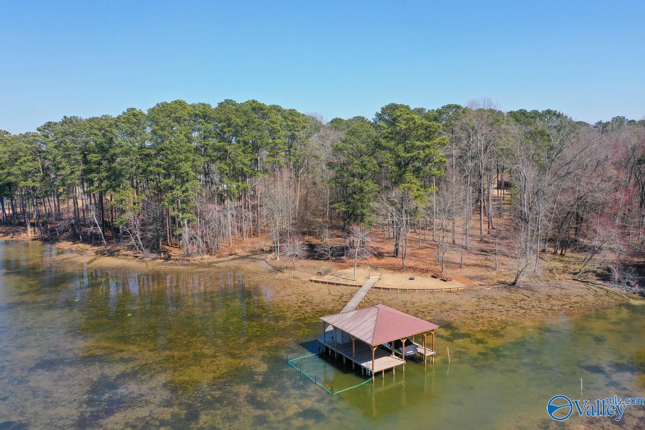 229 Goose Pond Island Drive, Scottsboro, Alabama image 44