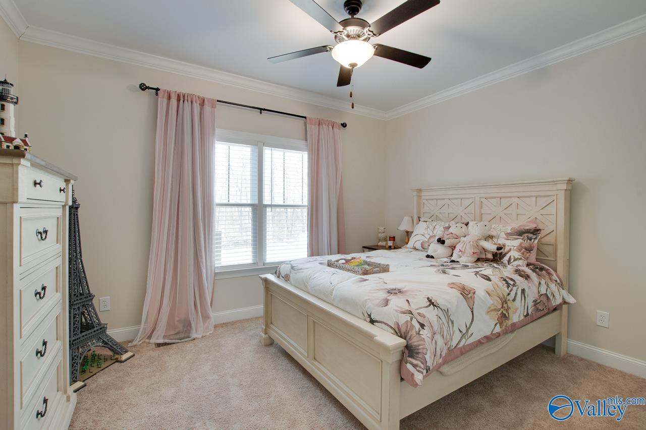 229 Goose Pond Island Drive, Scottsboro, Alabama image 29