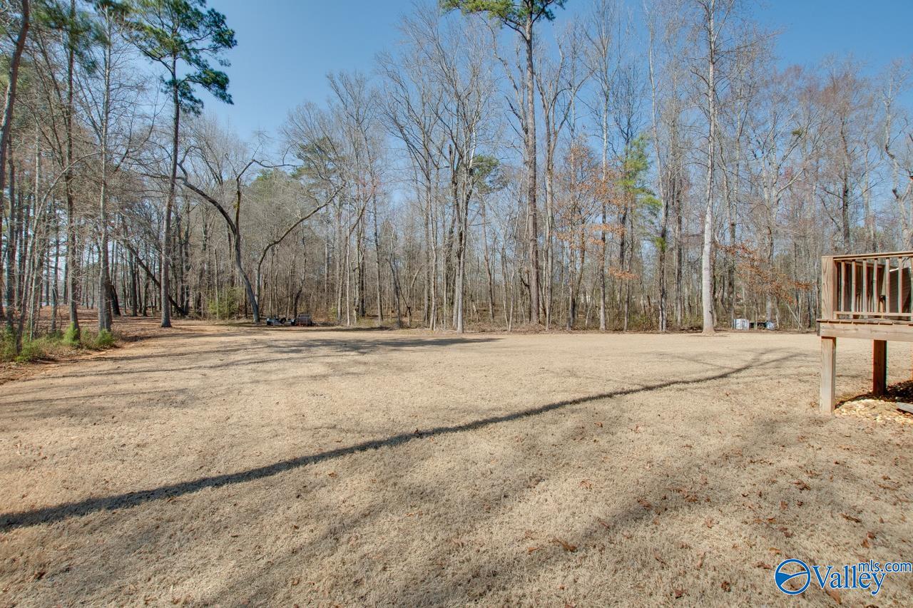 229 Goose Pond Island Drive, Scottsboro, Alabama image 40