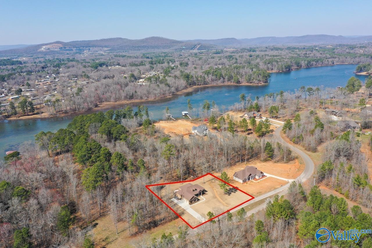 229 Goose Pond Island Drive, Scottsboro, Alabama image 3