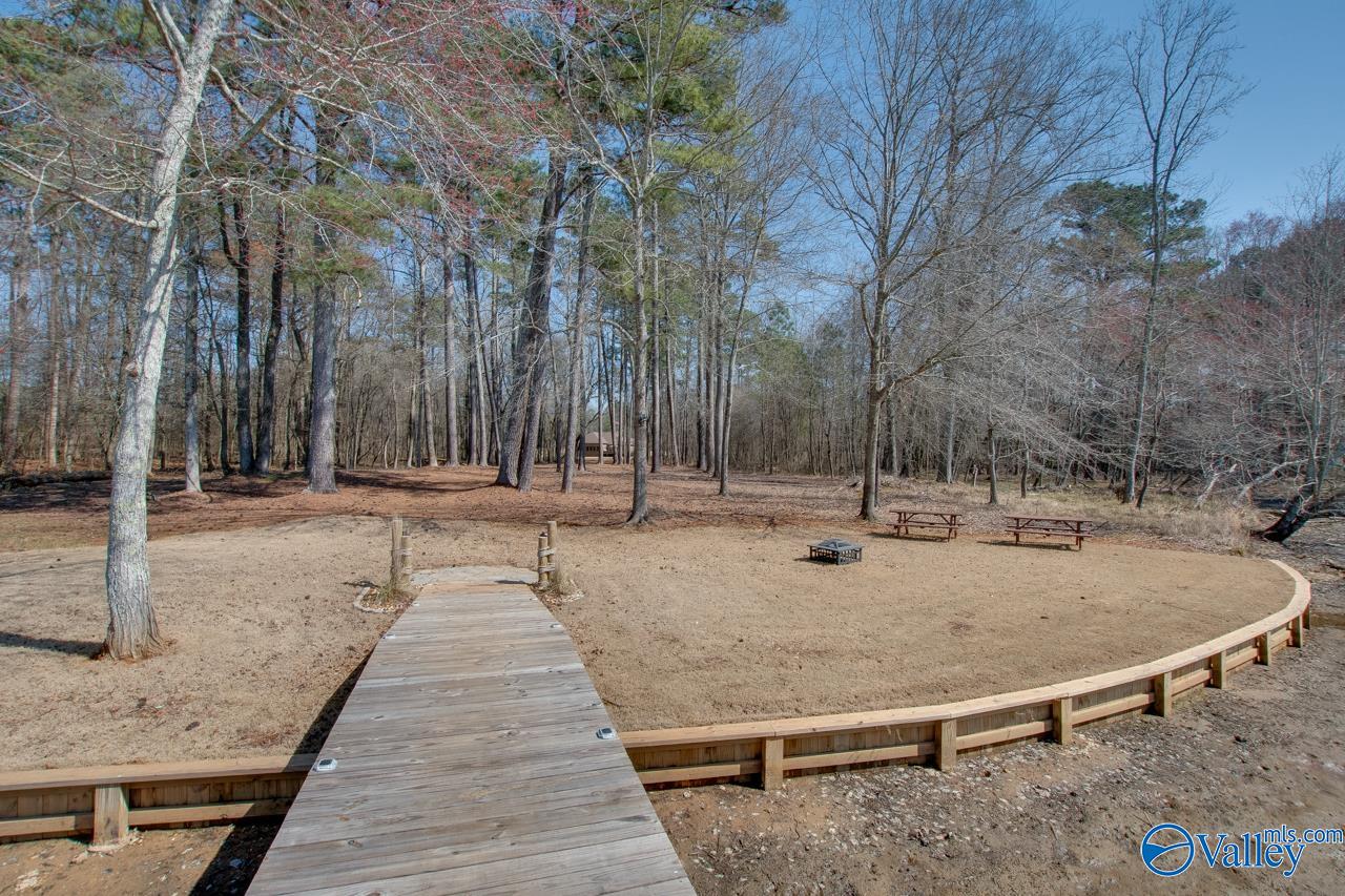 229 Goose Pond Island Drive, Scottsboro, Alabama image 45
