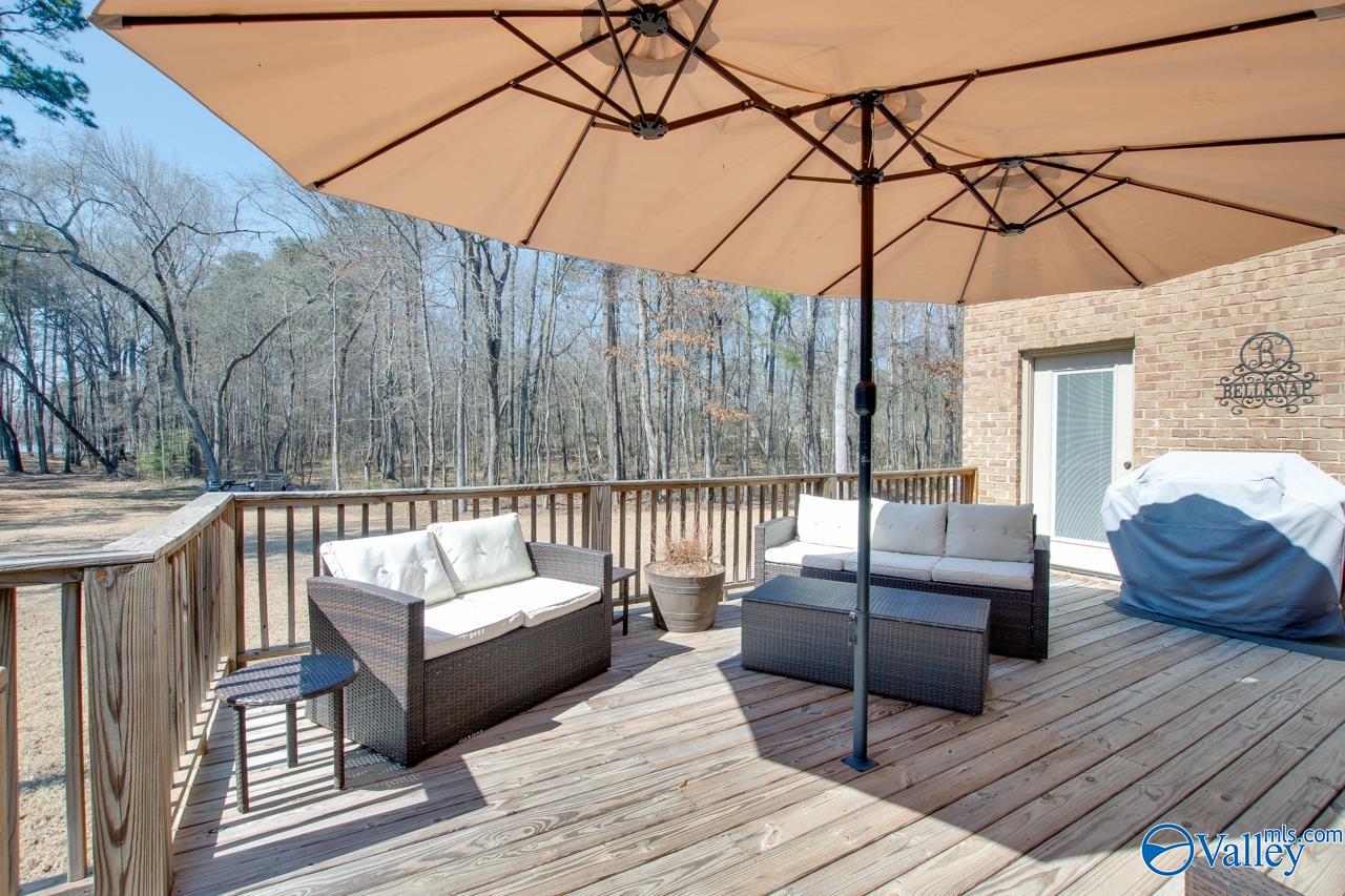 229 Goose Pond Island Drive, Scottsboro, Alabama image 33