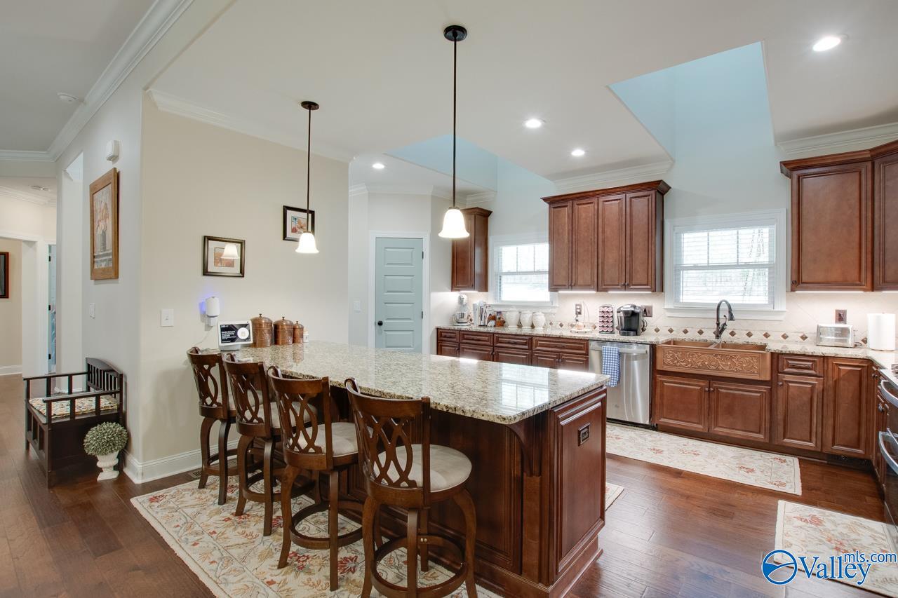 229 Goose Pond Island Drive, Scottsboro, Alabama image 10