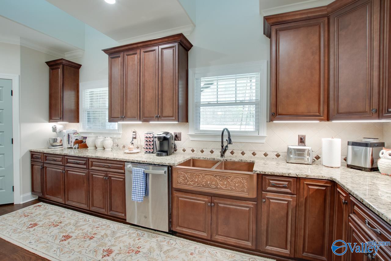 229 Goose Pond Island Drive, Scottsboro, Alabama image 13
