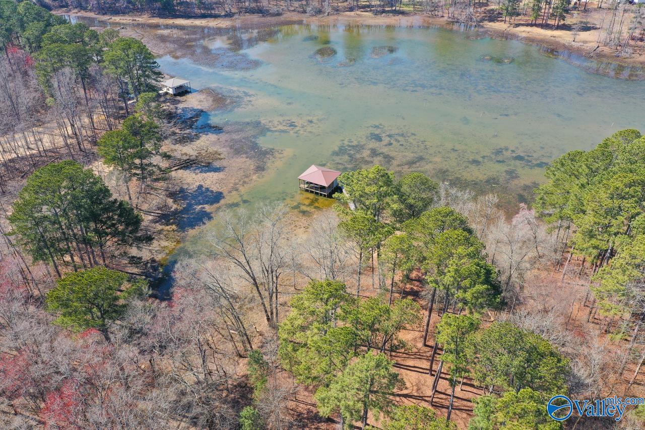 229 Goose Pond Island Drive, Scottsboro, Alabama image 49