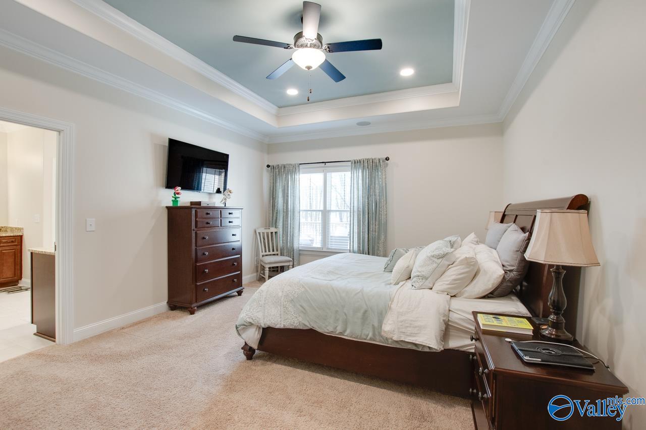 229 Goose Pond Island Drive, Scottsboro, Alabama image 23