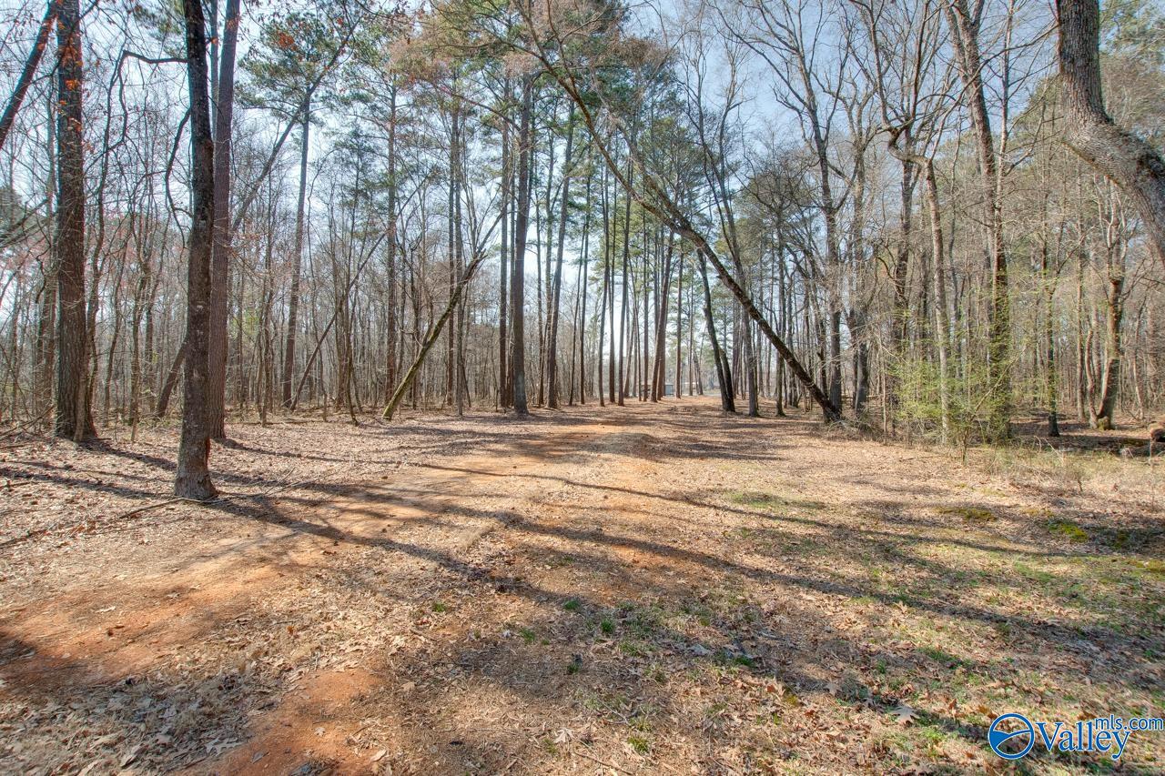 229 Goose Pond Island Drive, Scottsboro, Alabama image 41
