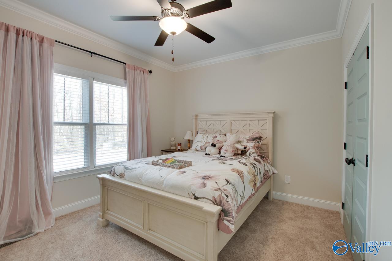 229 Goose Pond Island Drive, Scottsboro, Alabama image 30