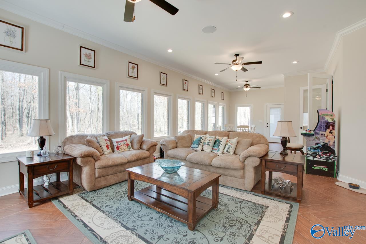 229 Goose Pond Island Drive, Scottsboro, Alabama image 15