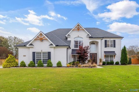 Photo of 3103 Mossy Rock Road SE, Owens Cross Roads, AL 35763 (MLS # 21905236)