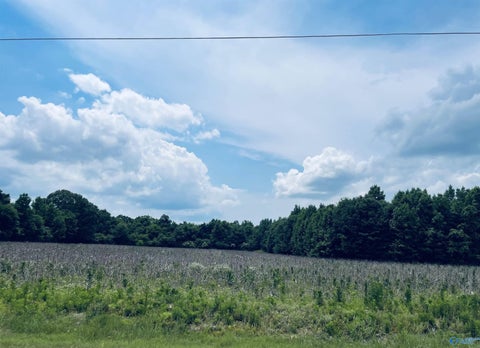 Vacant Land For Sale - TRACT 5 Seven Mile Post Road<br/> Athens, AL 35614