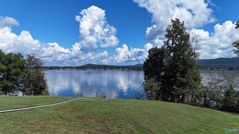 Vacant Land For Sale - TRACT 4 Pinewood Drive<br/> Langston, AL 35755